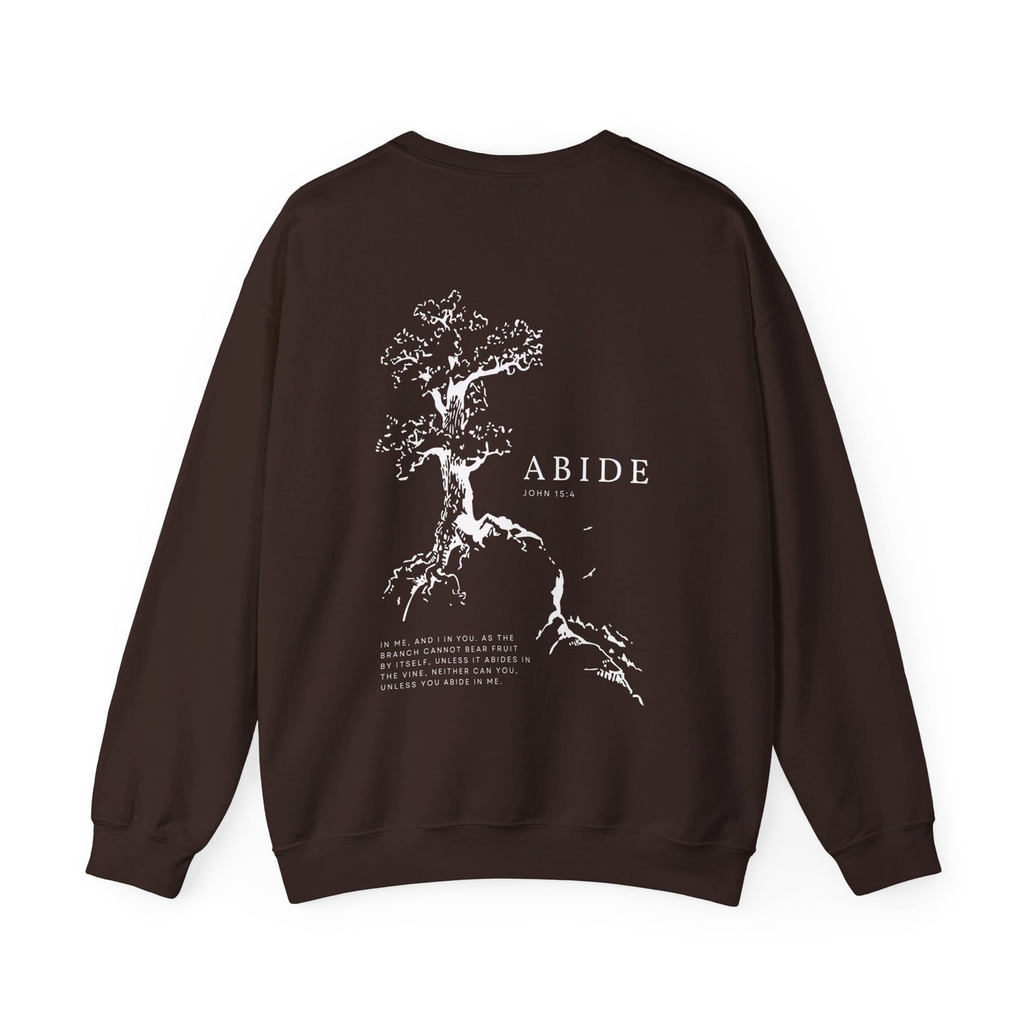 the ABIDE sweatshirt