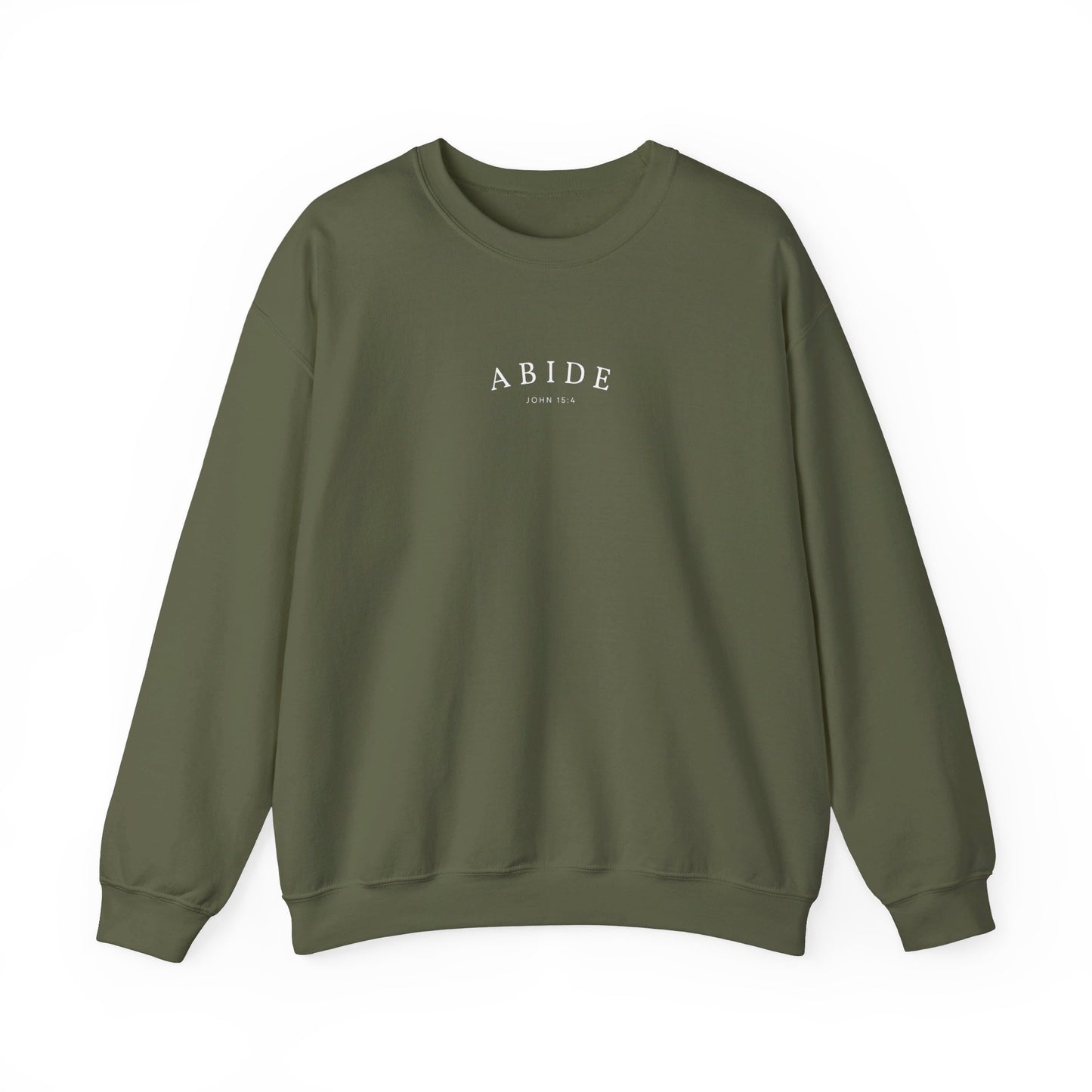 the ABIDE sweatshirt