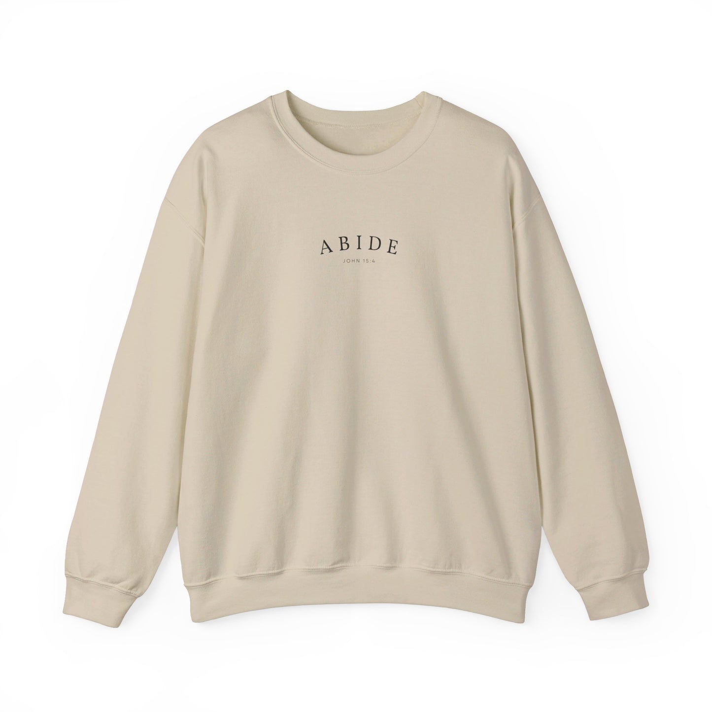 the ABIDE sweatshirt