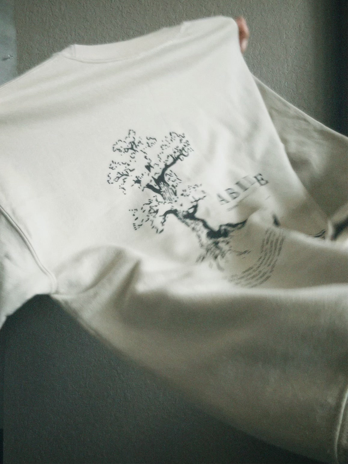 the ABIDE sweatshirt